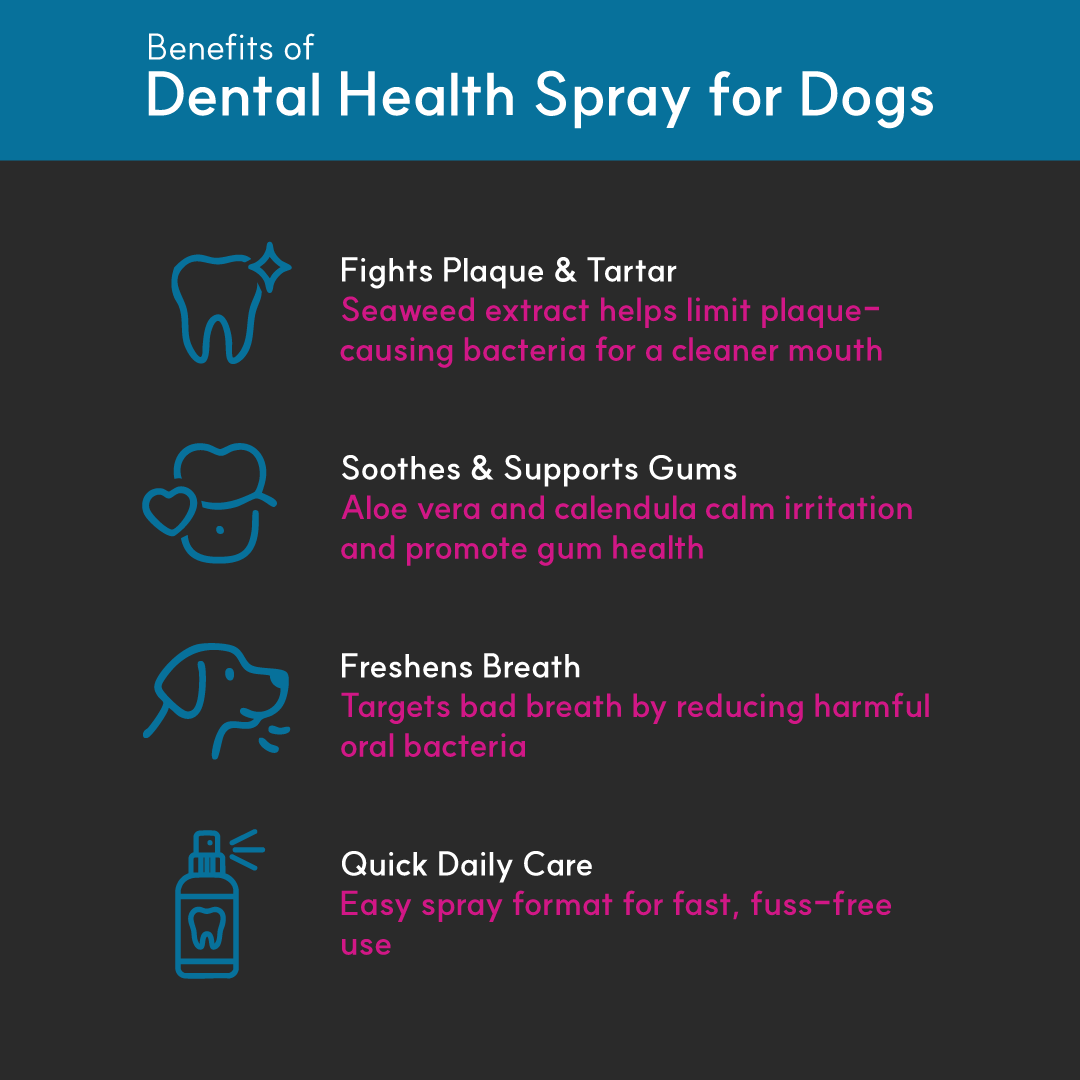 Dental Health Spray