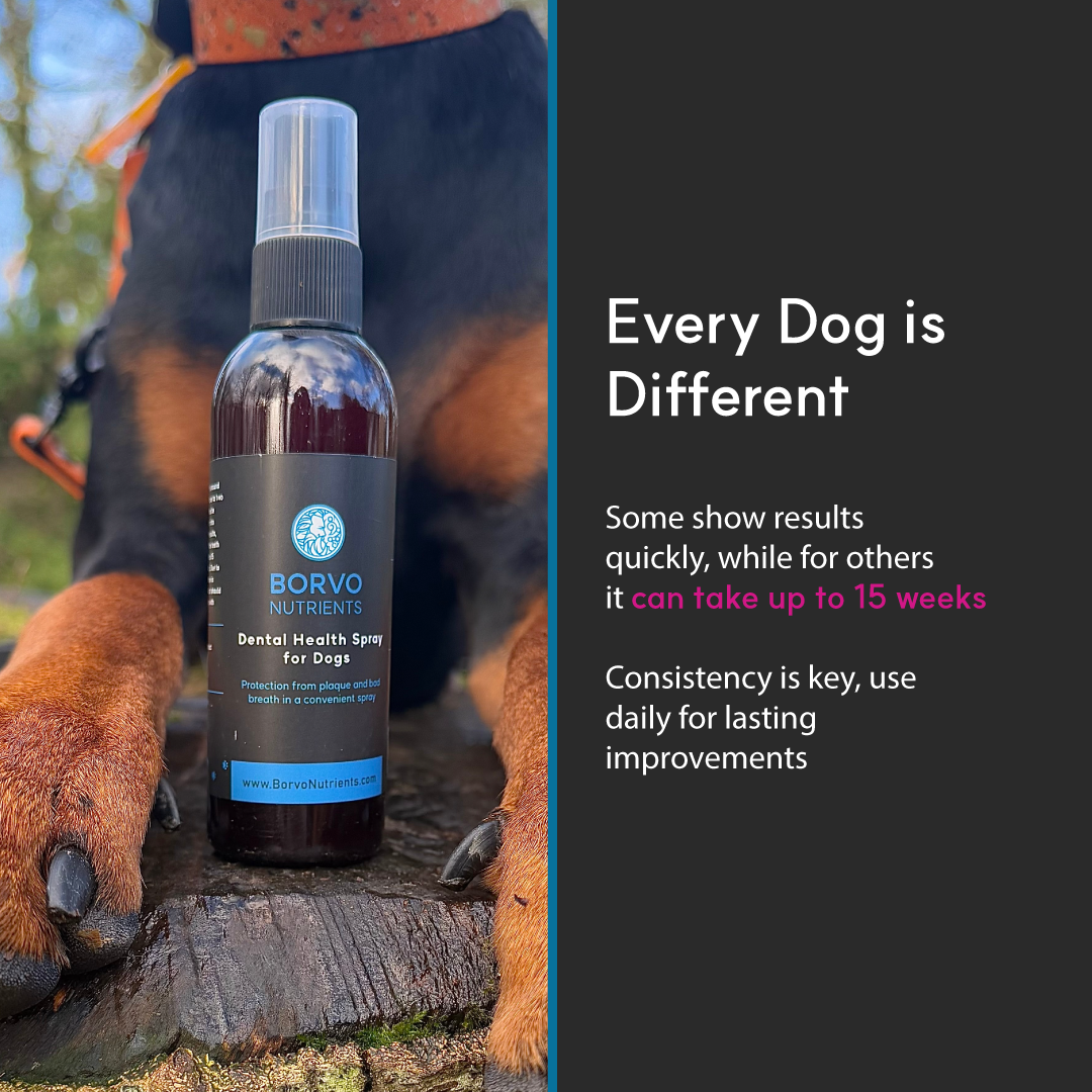 Dental Health Spray