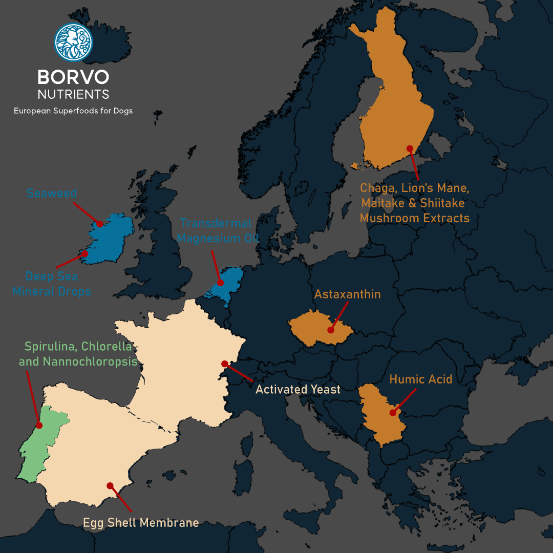 Origins of Borvo nutrients products