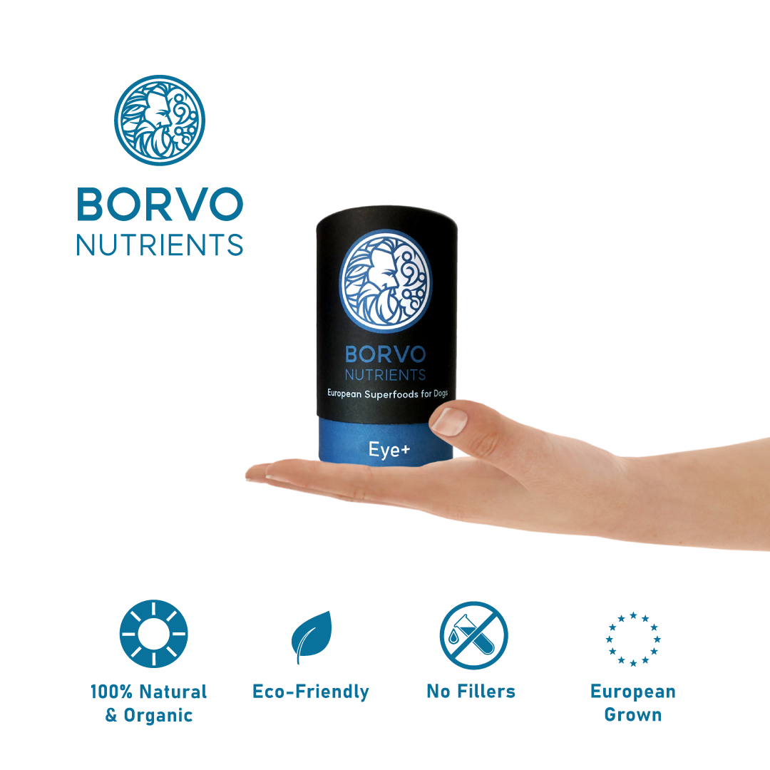 Eye+ for dogs | Borvo Nutrients