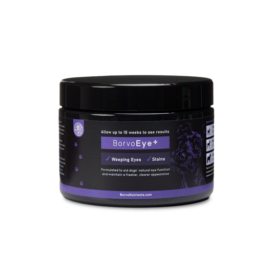 Eye+ for dogs | Borvo Nutrients