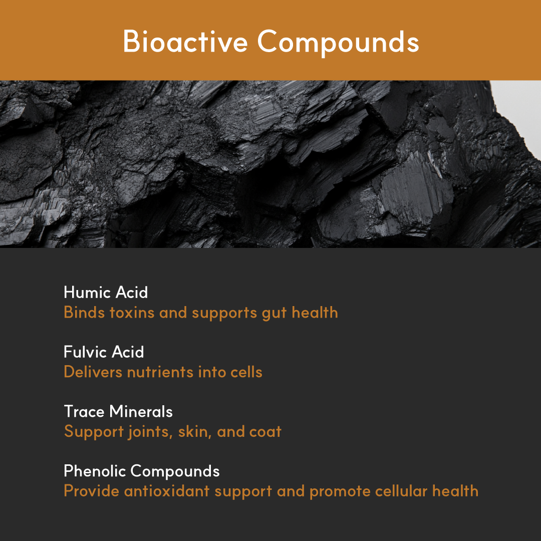 Infographic listing the main bioactive compounds in humic acid supplements: humic acid, fulvic acid, trace minerals, and phenolic compounds. Each compound is followed by a benefit statement, set against a charcoal background with a close-up image of natural leonardite.