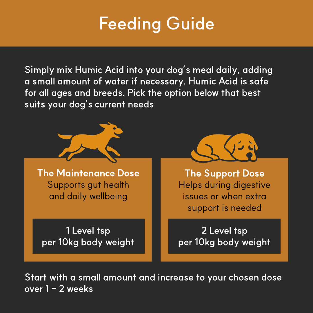 Infographic titled “Feeding Guide” with instructions on how to dose humic acid for dogs. Includes two illustrated options: a maintenance dose (1 tsp per 10kg) and a support dose (2 tsp per 10kg). Text explains starting with a small amount and increasing gradually.

