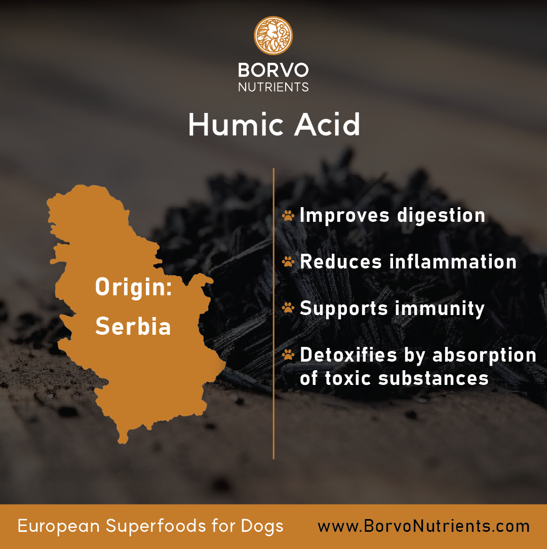 Humic Acid for Dogs | Borvo Nutrients