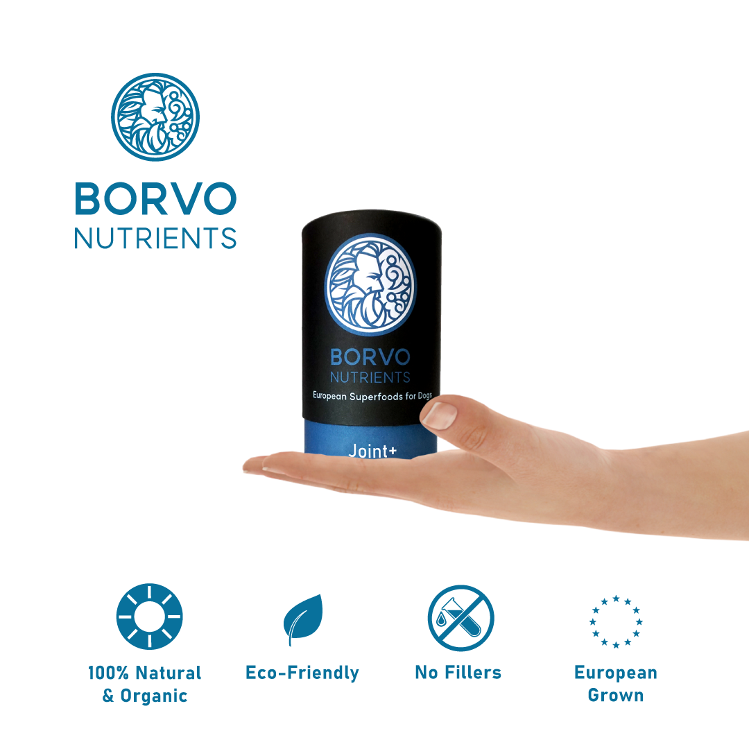 Joint+ for dogs | Borvo Nutrients