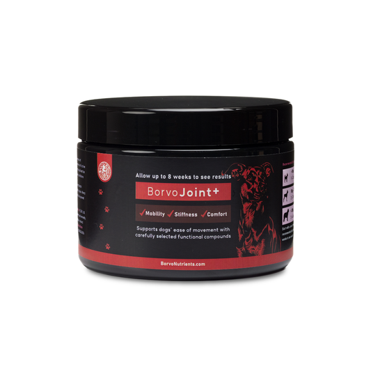 Joint+ for dogs | Borvo Nutrients
