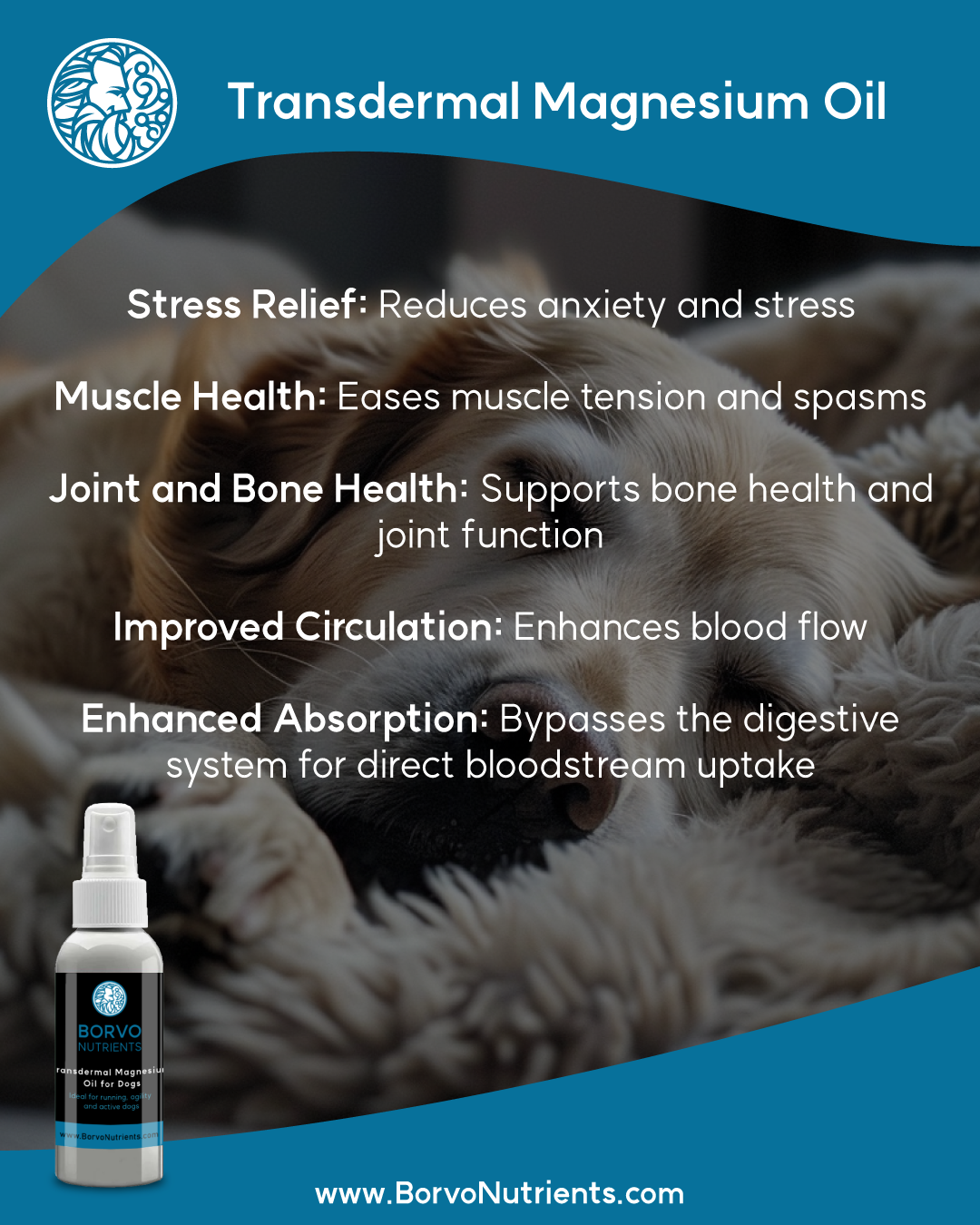 Transdermal Magnesium Oil for Dogs | Borvo Nutrients