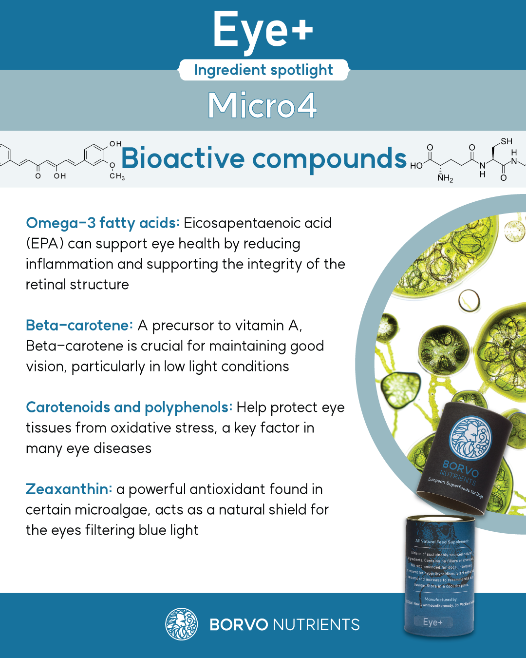 Eye+ for dogs | Borvo Nutrients