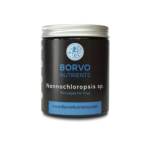 Nannochloropsis Microalgae for Dogs | Borvo Nutrients