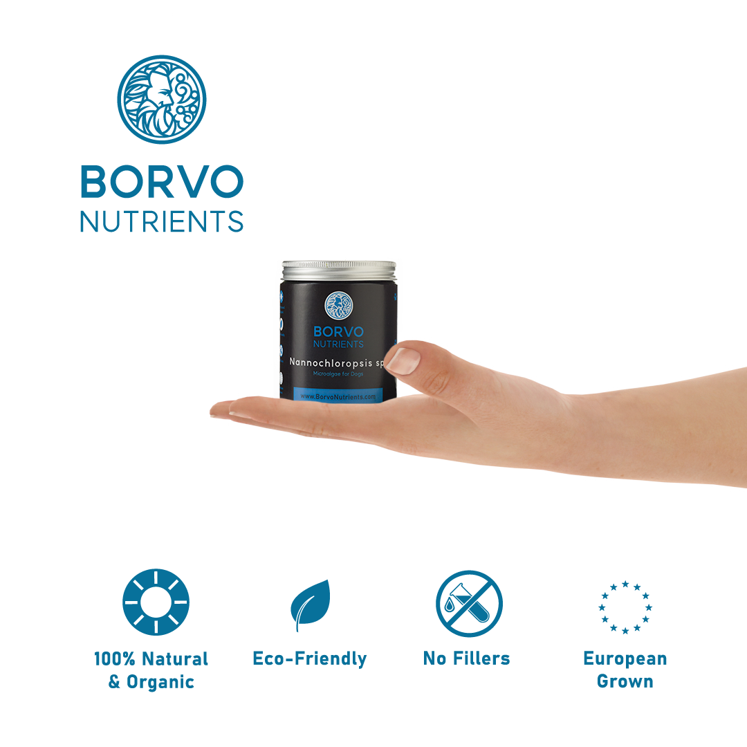 Nannochloropsis Microalgae for Dogs | Borvo Nutrients