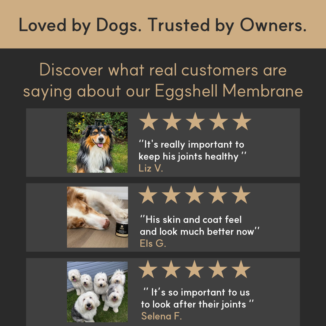 Product review section for a pet product with customer testimonials and ratings.