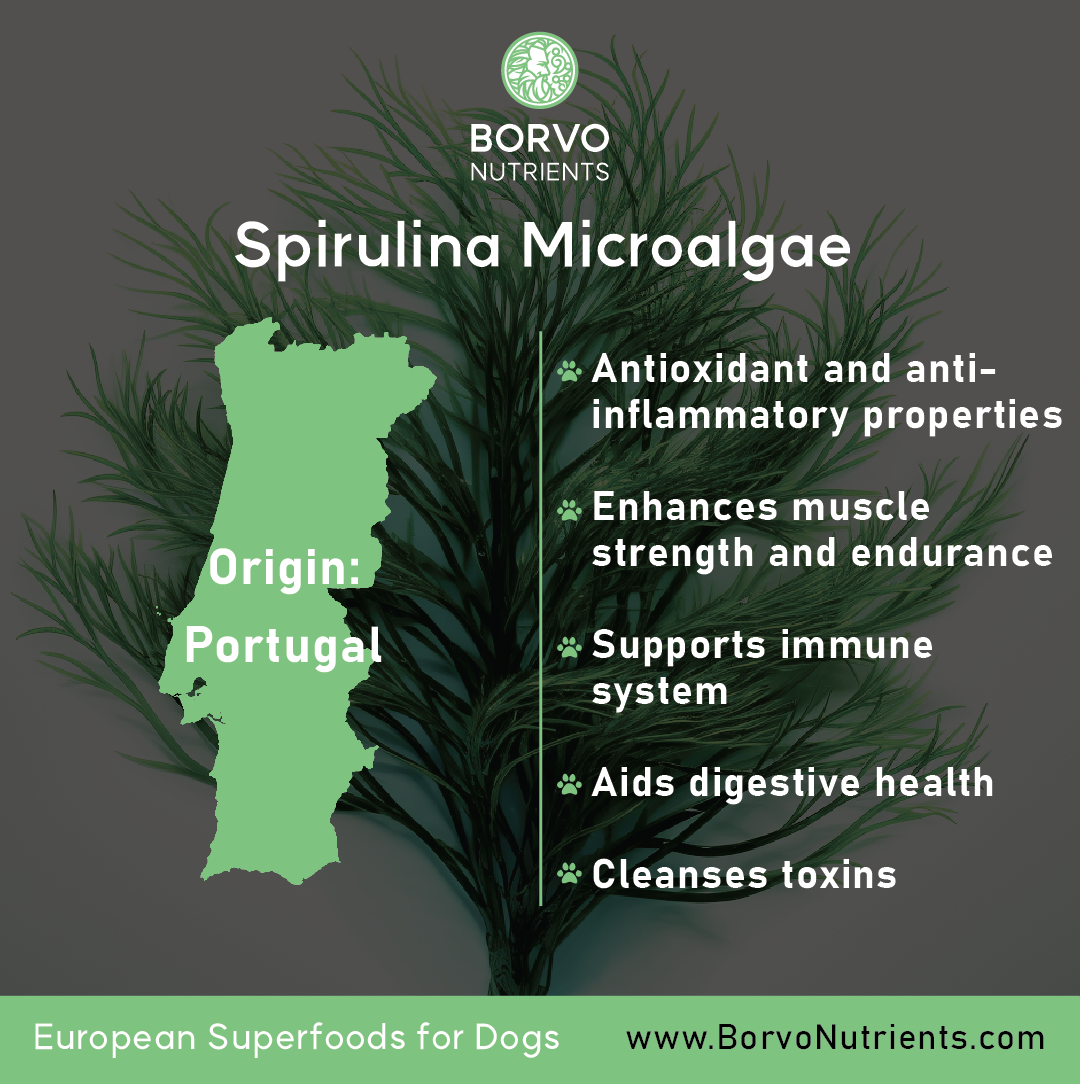 Origin and benefits information for Borvo Nutrients Spirulina for dogs