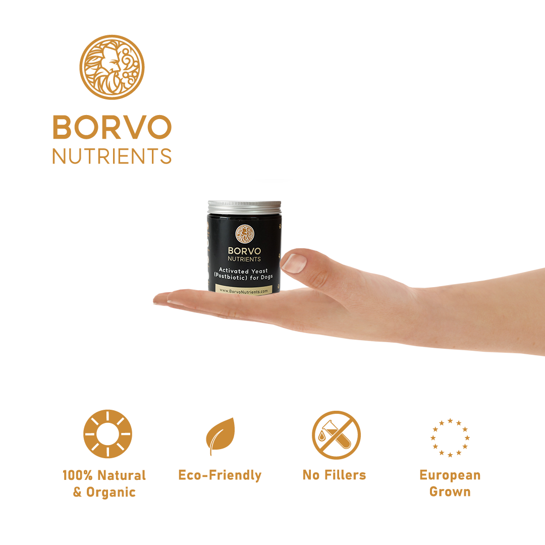 Activated Yeast (Postbiotic) for Dogs | Borvo Nutrients